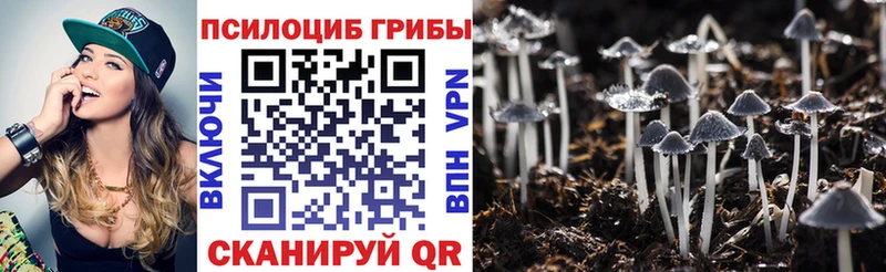 Галлюциногенные грибы мухоморы  что такое   kraken как зайти  нарко площадка Telegram  Гдов 