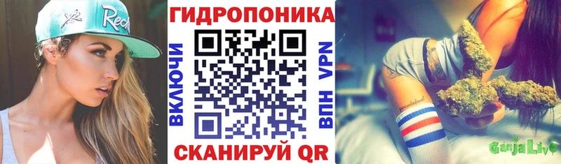 Марихуана THC 21%  как найти закладки  Гдов 